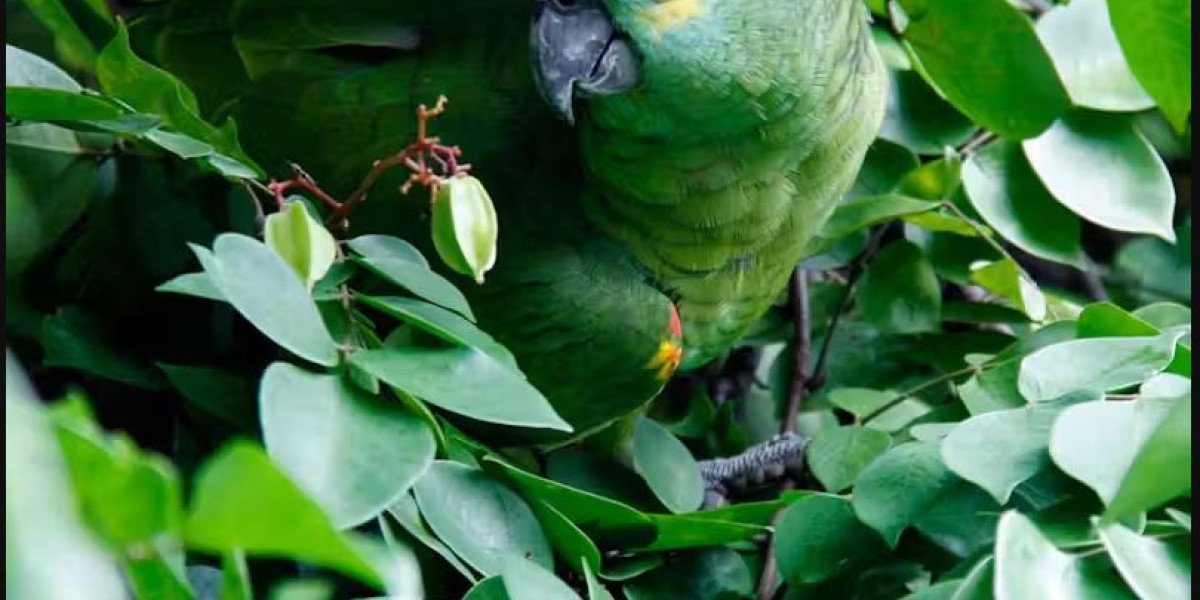 The Role of Animals in Ecosystems: Why Every Species Matters