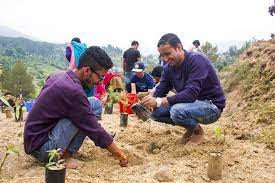 Environmental Causes